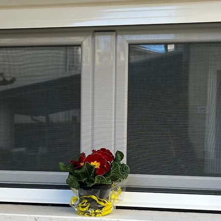 Bouganville Casa Vacanza Ambiente Climatizzato Con Wi Fi Pineto Εξωτερικό φωτογραφία