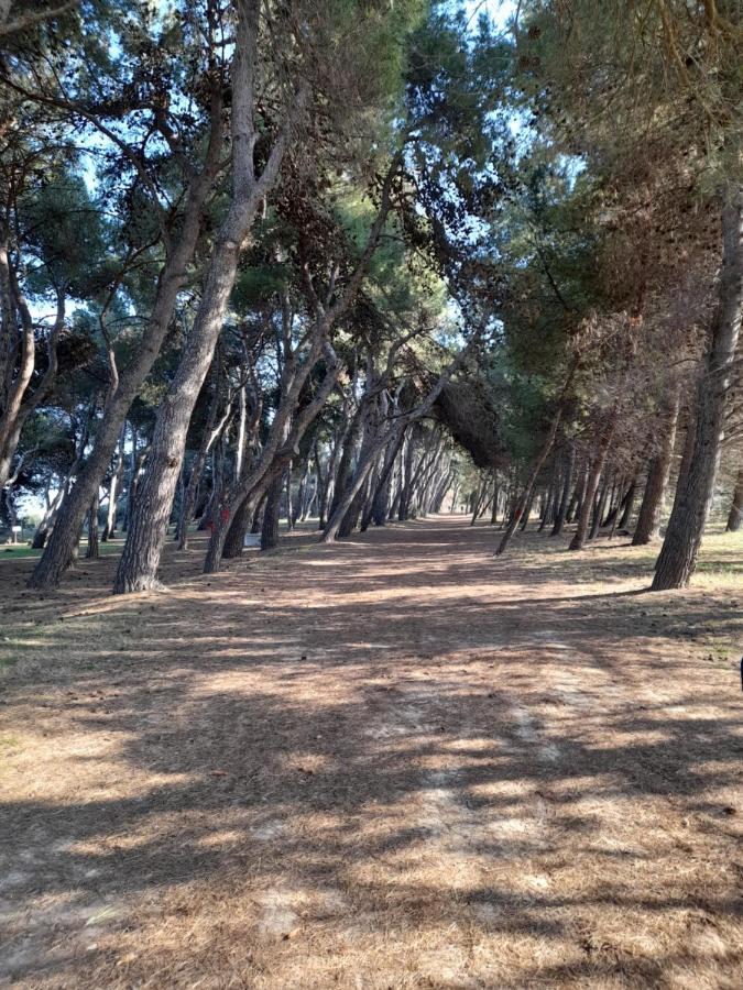 Bouganville Casa Vacanza Ambiente Climatizzato Con Wi Fi Pineto Εξωτερικό φωτογραφία