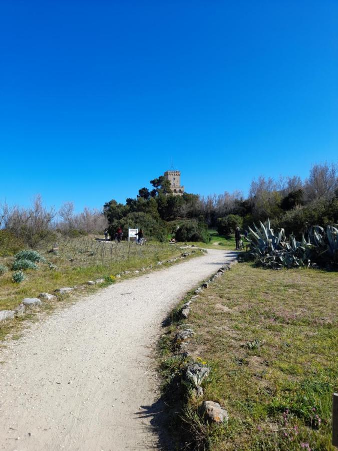 Bouganville Casa Vacanza Ambiente Climatizzato Con Wi Fi Pineto Εξωτερικό φωτογραφία