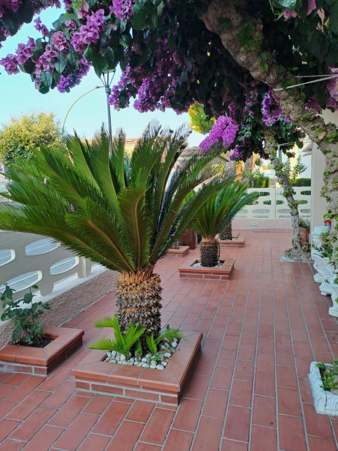 Bouganville Casa Vacanza Ambiente Climatizzato Con Wi Fi Pineto Εξωτερικό φωτογραφία