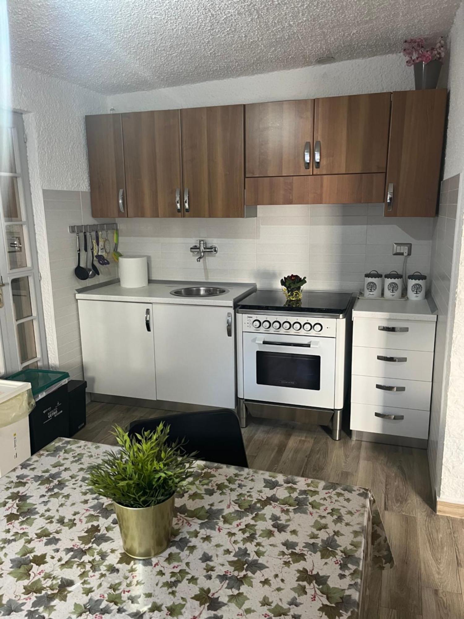 Bouganville Casa Vacanza Ambiente Climatizzato Con Wi Fi Pineto Εξωτερικό φωτογραφία